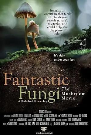 فيلم Fantastic Fungi 2019 مترجم - باهي فيلم